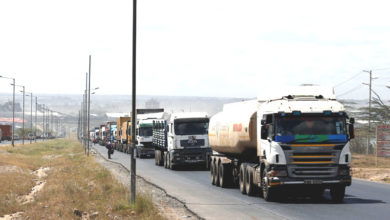 Des Camions Cargo