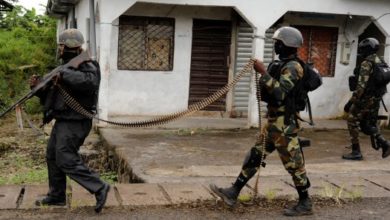 L’armée camerounaise sur le terrain de bataille