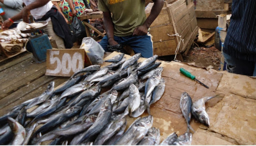 Des poissons importes