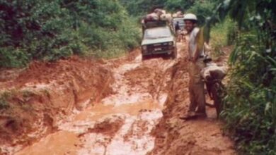 Route Ebolowa-Kribi Akom II au Cameroun