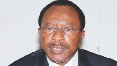 Le ministre des Travaux publics Emmanuel Nganou Djoumessi