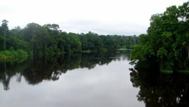 Vue sur le fleuve Ntem