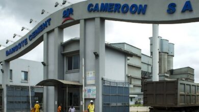 L'usine de Dangote Cement au Cameroun