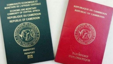 Passeport Camerounais