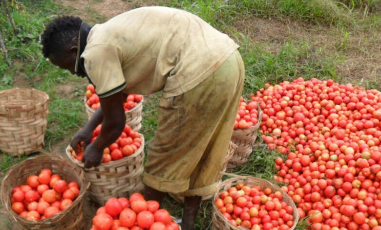 Les produits agricoles