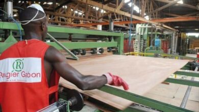 Une usine de Rougier au Gabon