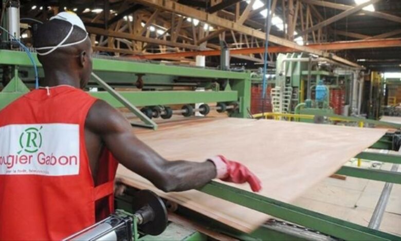 Une usine de Rougier au Gabon